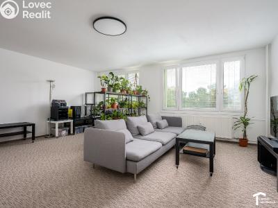 Sale apartment 4+KK Pardubice, K Polabinám 1894 č. 2
