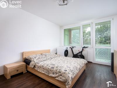 Sale apartment 4+KK Pardubice, K Polabinám 1894 č. 4