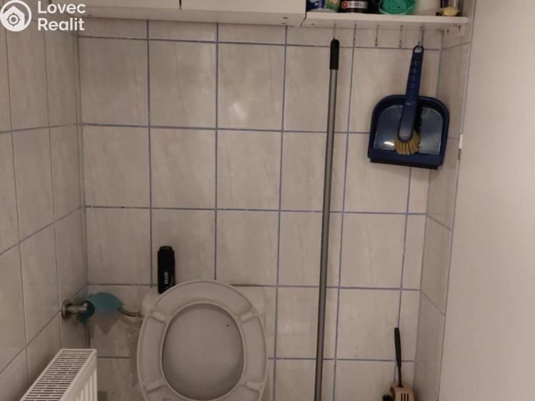 Pronájem rodinného domu Prostějov č. 17