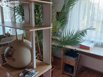 Pronájem rodinného domu Prostějov č. 6