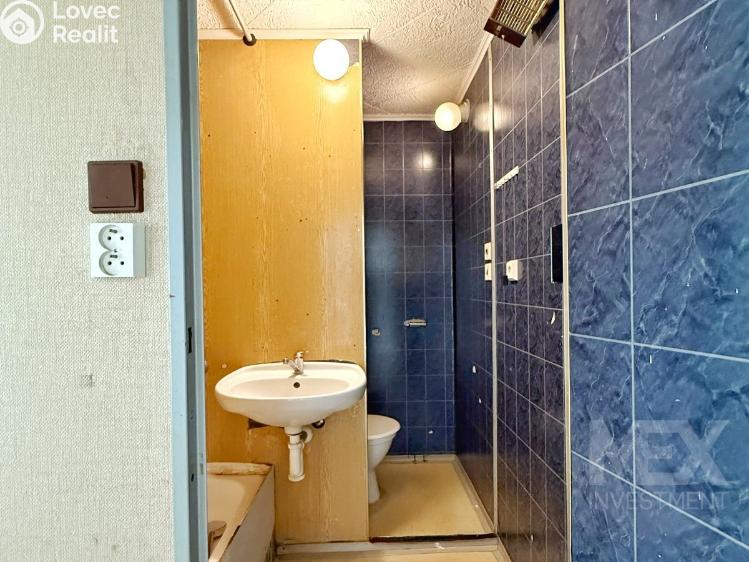 Prodej bytu 1+1 Skořenice č. 10