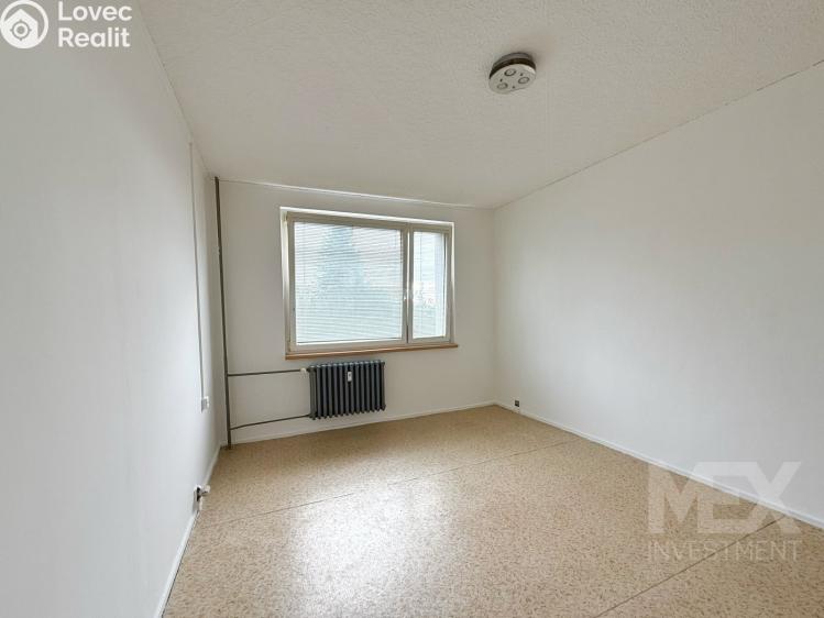 Prodej bytu 1+1 Skořenice č. 1