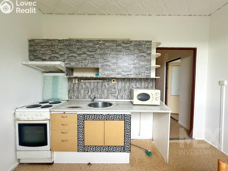 Prodej bytu 1+1 Skořenice č. 3