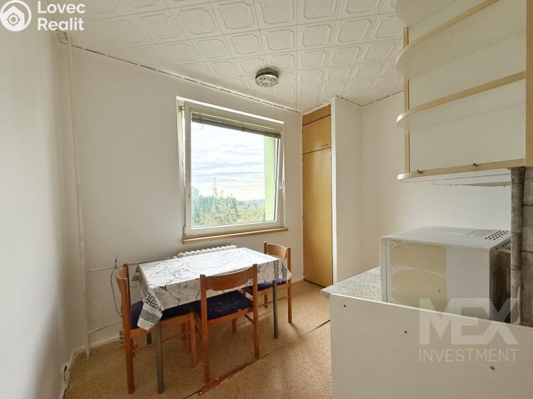 Prodej bytu 1+1 Skořenice č. 5