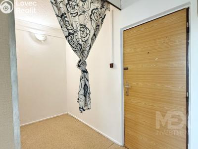 Prodej bytu 1+1 Skořenice č. 6