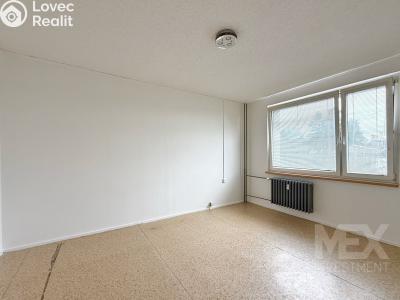 Prodej bytu 1+1 Skořenice č. 2