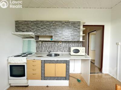 Prodej bytu 1+1 Skořenice č. 3