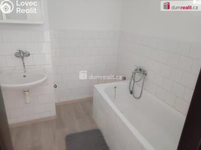 Pronájem bytu 1+1 Přestavlky č. 4