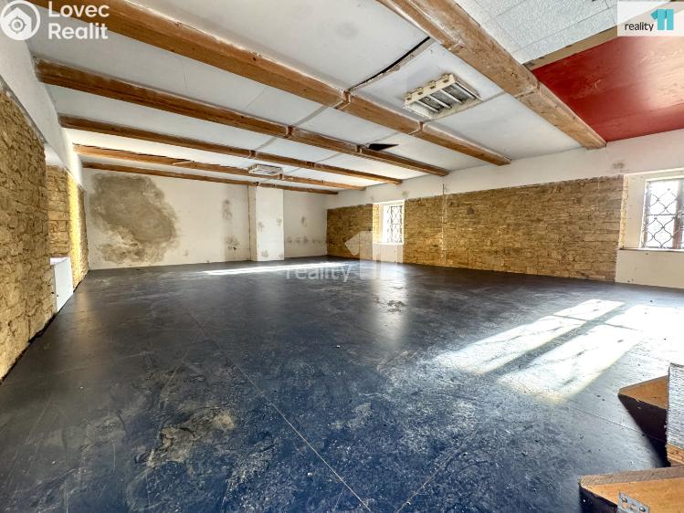 Pronájem výrobní haly Dobrovíz, Pražská č. 18