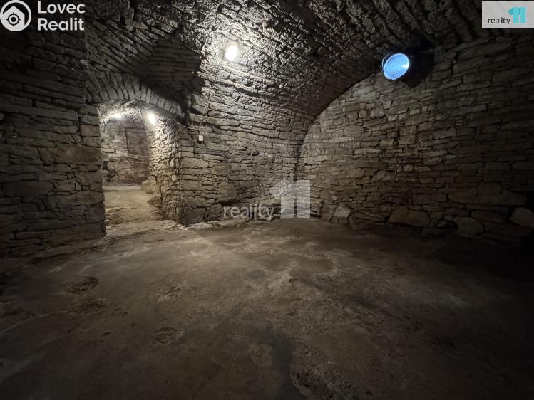 Pronájem výrobní haly Dobrovíz, Pražská č. 25