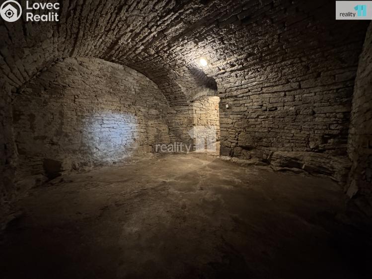 Оренда виробничого цеху Dobrovíz, Pražská č. 48