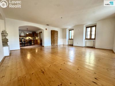 Pronájem výrobní haly Dobrovíz, Pražská č. 3