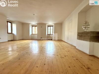 Pronájem výrobní haly Dobrovíz, Pražská č. 6