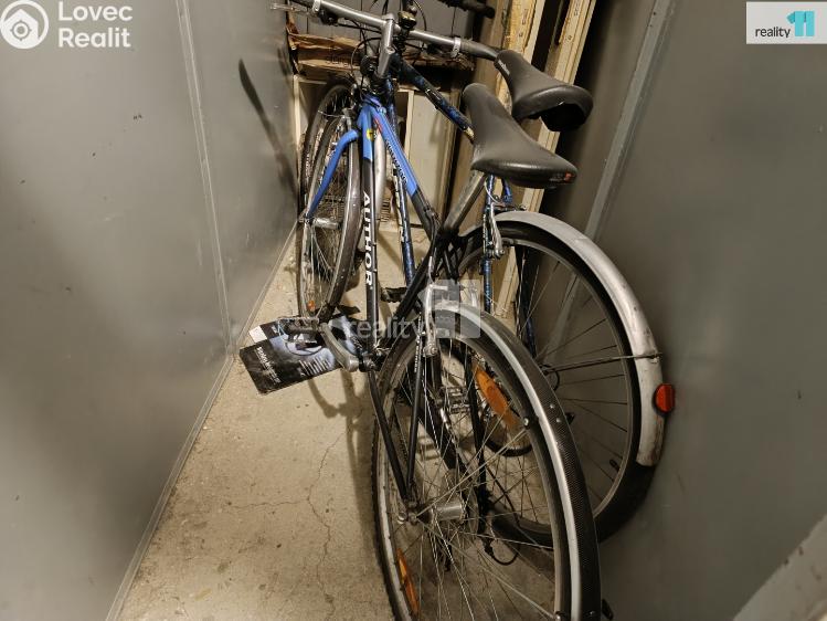 Pronájem bytu 2+1 Stráž pod Ralskem, Energetiků č. 35