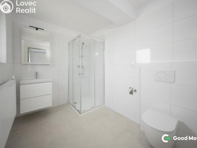 Pronájem bytu 1+KK Zlín, B. Němcové 368 č. 1