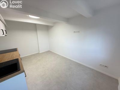 Pronájem bytu 1+KK Zlín, B. Němcové 368 č. 4