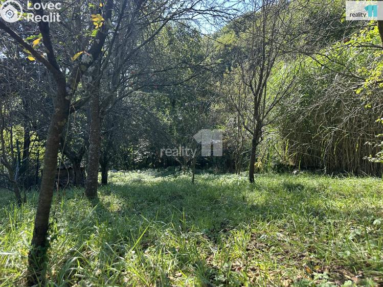 Prodej chaty Březolupy č. 18