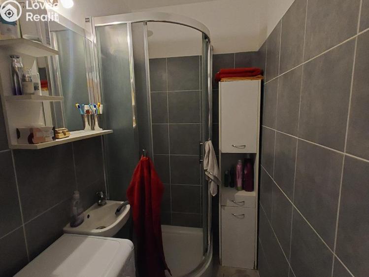 Pronájem bytu 1+1 Planá, Fučíkova č. 3