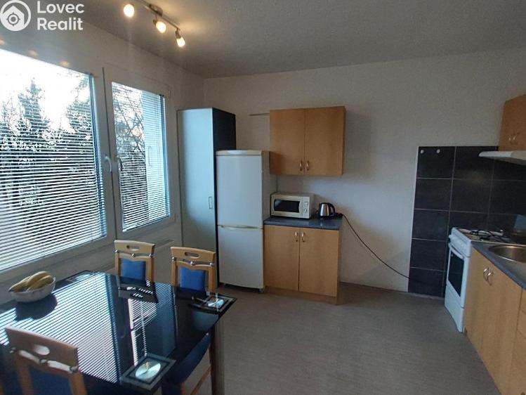 Pronájem bytu 1+1 Planá, Fučíkova č. 5