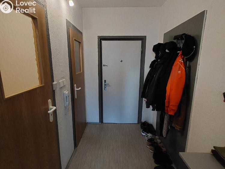 Pronájem bytu 1+1 Planá, Fučíkova č. 7