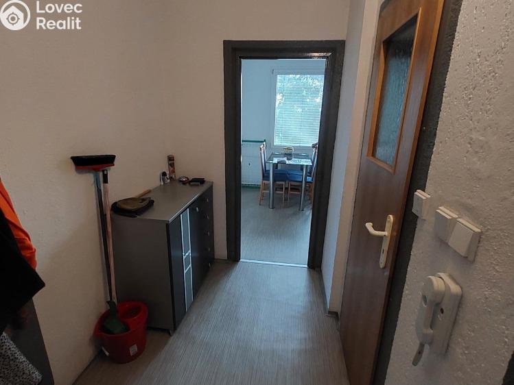 Pronájem bytu 1+1 Planá, Fučíkova č. 9