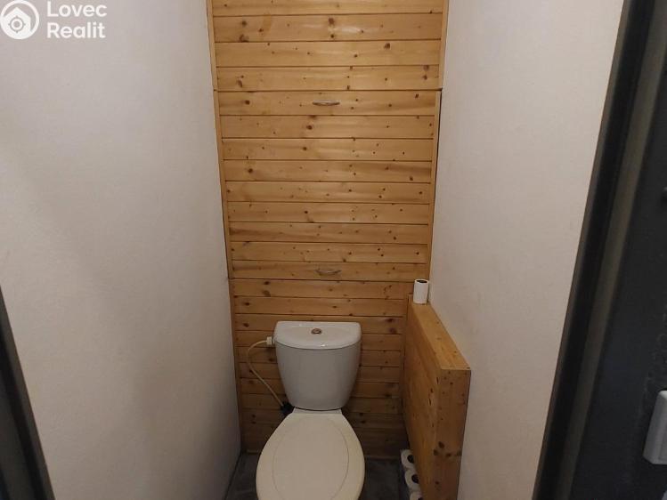 Pronájem bytu 1+1 Planá, Fučíkova č. 10