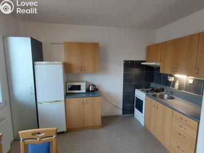 Rent apartment 1+1 Planá, Fučíkova č. 1
