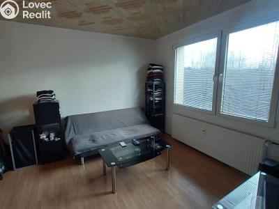 Rent apartment 1+1 Planá, Fučíkova č. 2