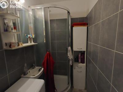 Rent apartment 1+1 Planá, Fučíkova č. 3