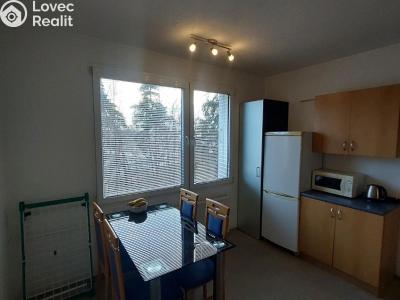 Rent apartment 1+1 Planá, Fučíkova č. 4