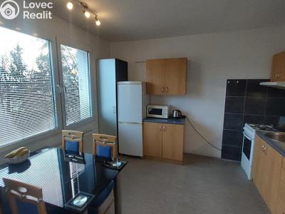 Rent apartment 1+1 Planá, Fučíkova č. 5