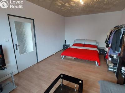 Rent apartment 1+1 Planá, Fučíkova č. 6