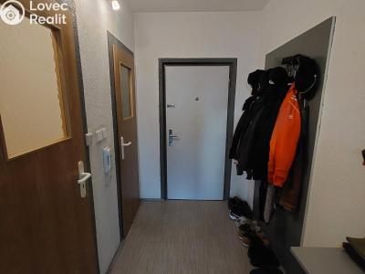 Rent apartment 1+1 Planá, Fučíkova č. 6