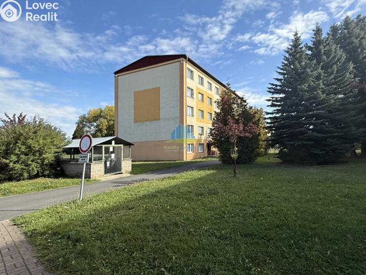 Pronájem obchodního prostoru Františkovy Lázně, Otakara Březiny 199/16 č. 3