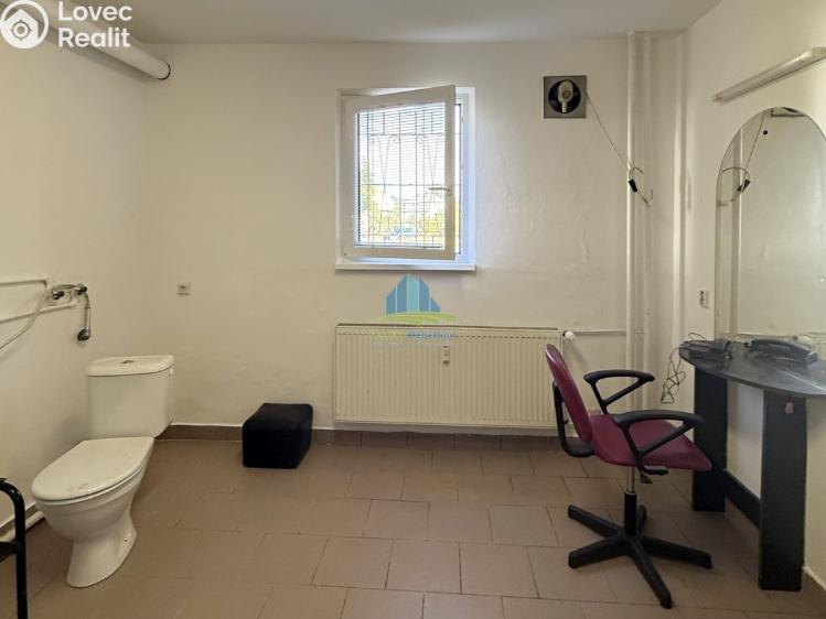 Pronájem obchodního prostoru Františkovy Lázně, Otakara Březiny 199/16 č. 5