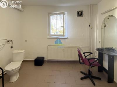 Pronájem obchodního prostoru Františkovy Lázně, Otakara Březiny č. 5