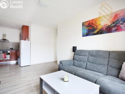 Rent apartment 2+KK Louny, Zahradní 2464 č. 4