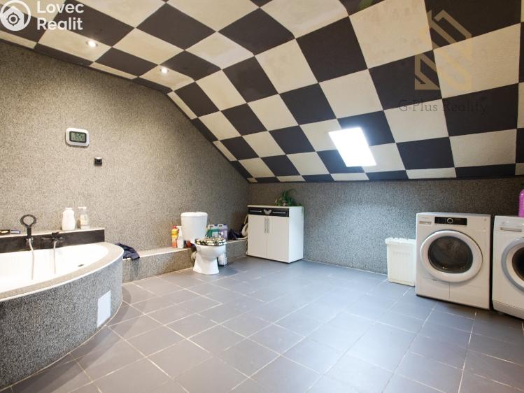 Prodej vícegeneračního domu Řehlovice č. 20