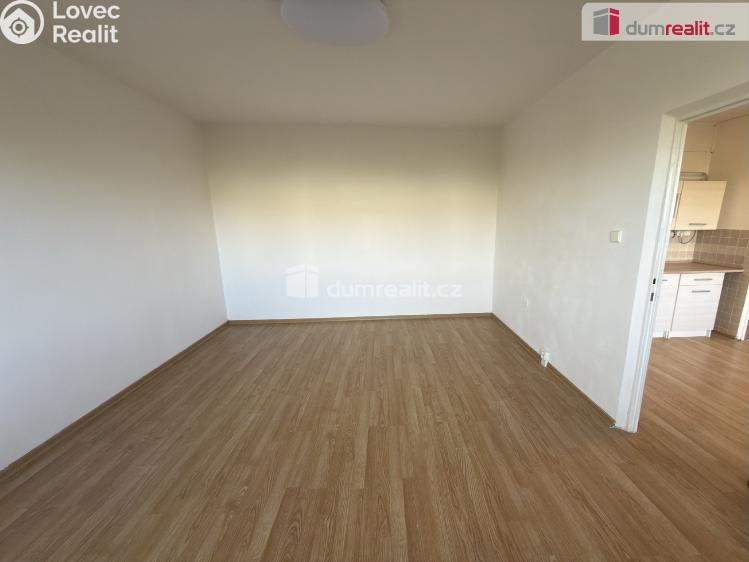 Pronájem bytu 1+1 Ústí nad Labem, Pod Parkem č. 3
