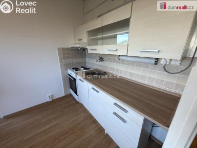Pronájem bytu 1+1 Ústí nad Labem, Pod Parkem č. 1