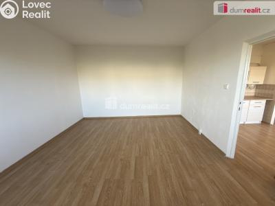 Pronájem bytu 1+1 Ústí nad Labem, Pod Parkem č. 3