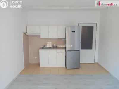 Pronájem bytu 1+KK Děčín, Želenická č. 2