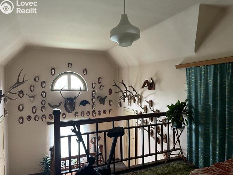 Prodej vily Planá nad Lužnicí, Strkovská 29 č. 21