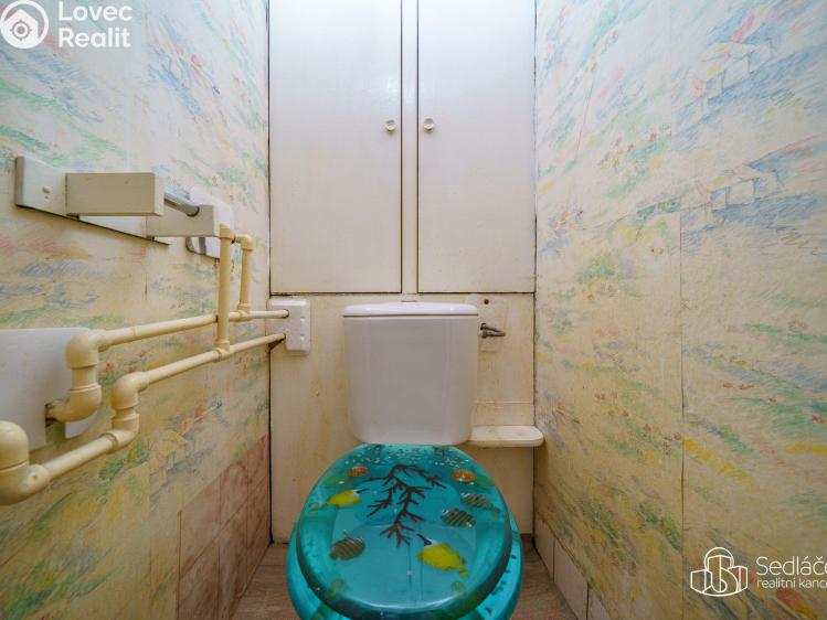 Prodej bytu 2+1 Bukovany č. 9