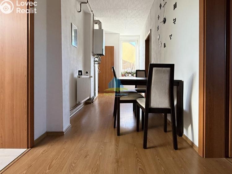 Sale apartment 2+1 Františkovy Lázně, Boženy Němcové 57/3 č. 15