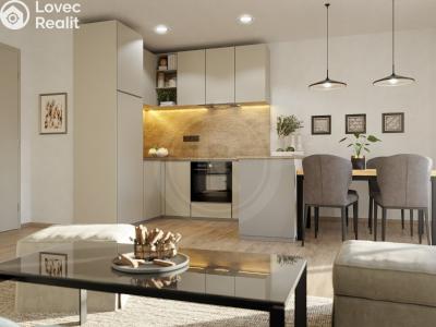 Sale apartment 3+KK České Budějovice, Platanová č. 6