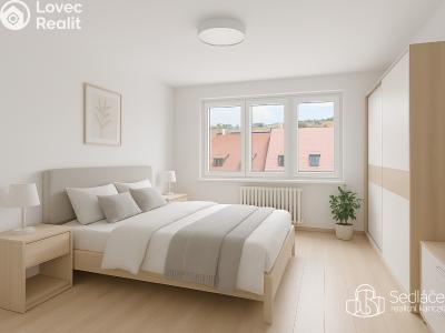 Sale apartment 2+1 Praha, Radlická č. 1