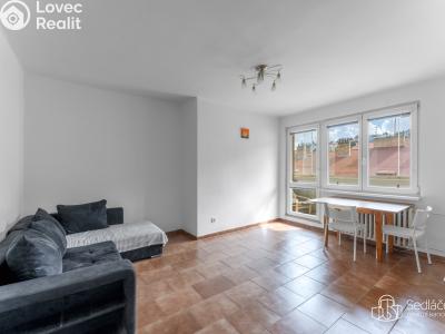 Sale apartment 2+1 Praha, Radlická č. 6