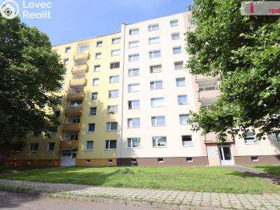 Pronájem bytu 2+1 Karlovy Vary, Konečná č. 1