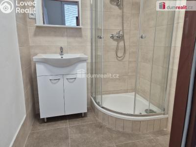 Pronájem bytu 2+1 Český Krumlov, Železniční č. 5
